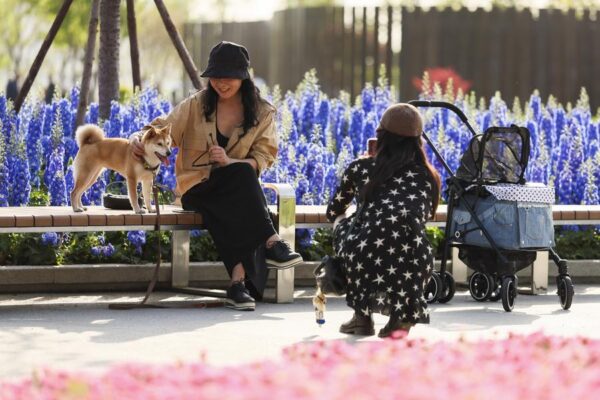 Los jóvenes chinos encuentran su vocación en las profesiones emergentes