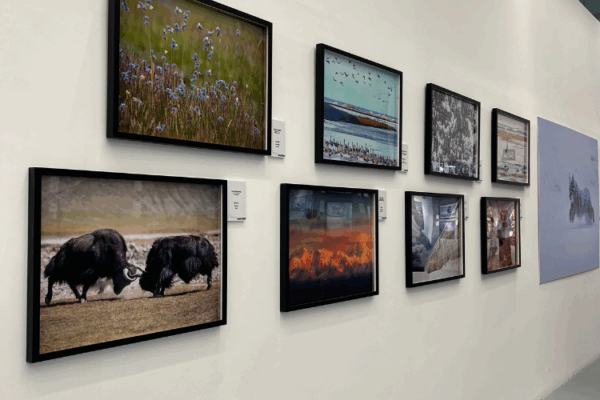 ‘HABITAT’, una exposición que muestra la vida cotidiana de los animales salvajes en China para concienciar sobre su protección