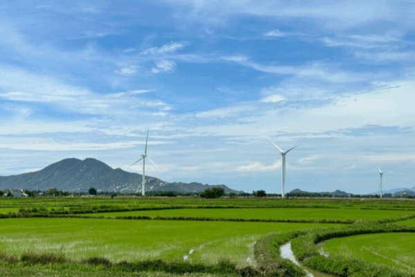 La Fundación Cátedra China publica su segundo Cuaderno de Trabajo: un análisis profundo sobre la política climática de China