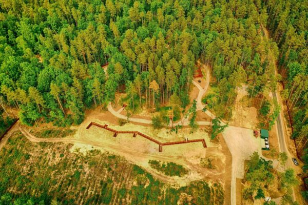 China anuncia medidas financieras para impulsar el desarrollo forestal