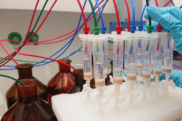 Científicos chinos desvelan claves de la evolución de la vida con un modelo lingüístico de proteínas basado en inteligencia artificial