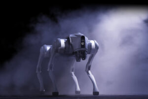 UNITREE-ROBOT-BOLSA - CHINA