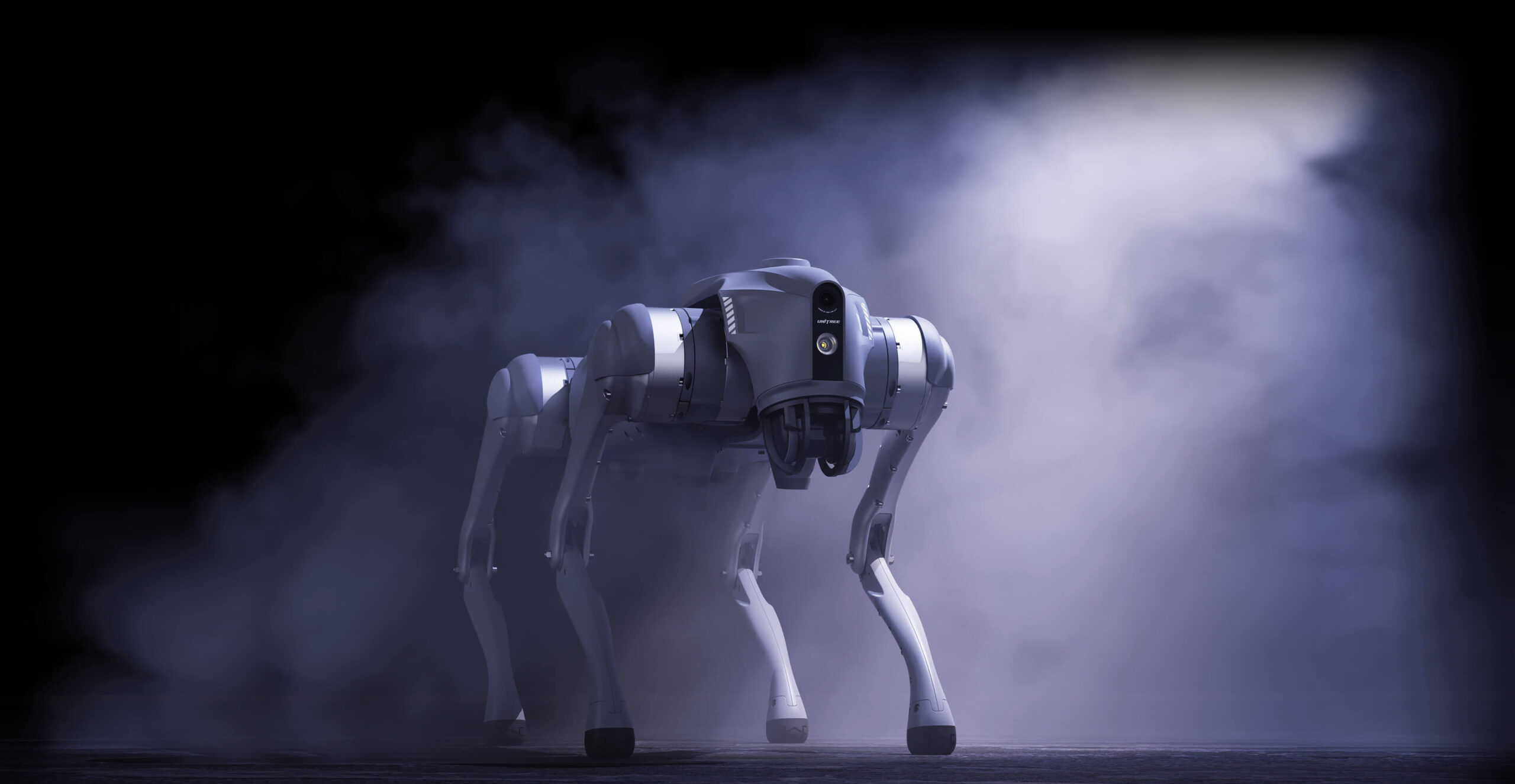 UNITREE-ROBOT-BOLSA - CHINA