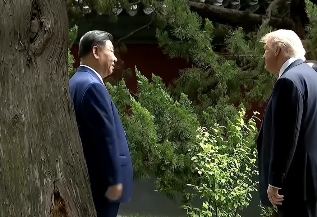 Xi Jinping y Trump Jardín secreto. La historia de los árboles