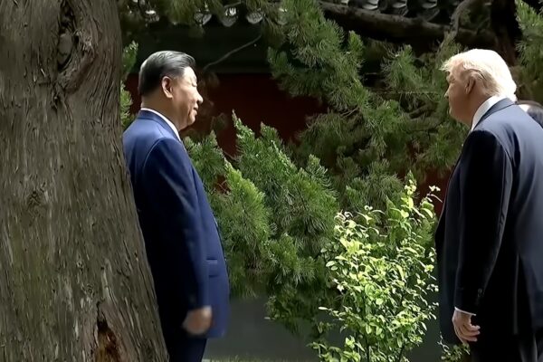 Xi Jinping y Trump Jardín secreto. La historia de los árboles