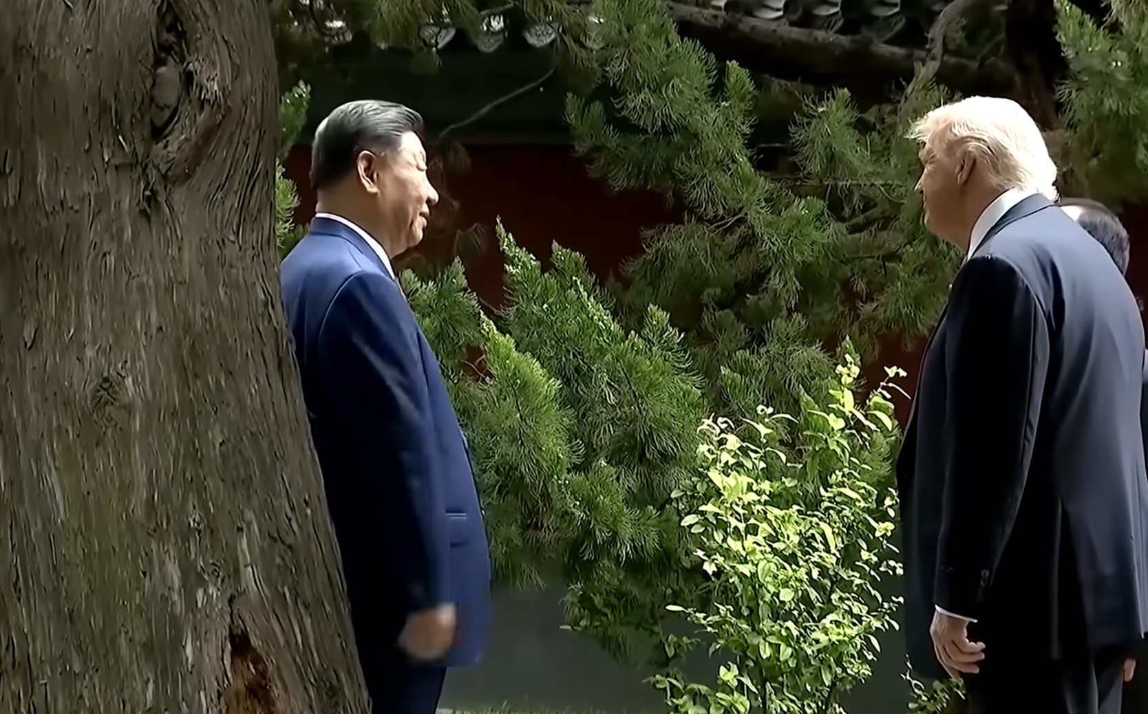 Xi Jinping y Trump Jardín secreto. La historia de los árboles