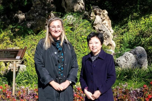 Fundación China Soong Ching ling Catedra China
