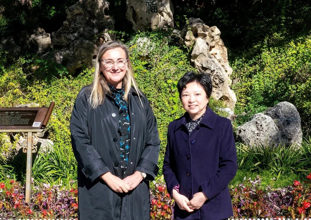 Fundación China Soong Ching ling Catedra China